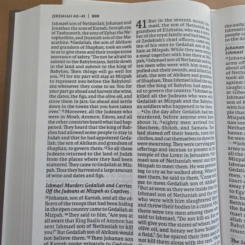 Net Bible Thinline Large Print Cloth over Board Gray BRAND NEW in Shrink Wrap!!!